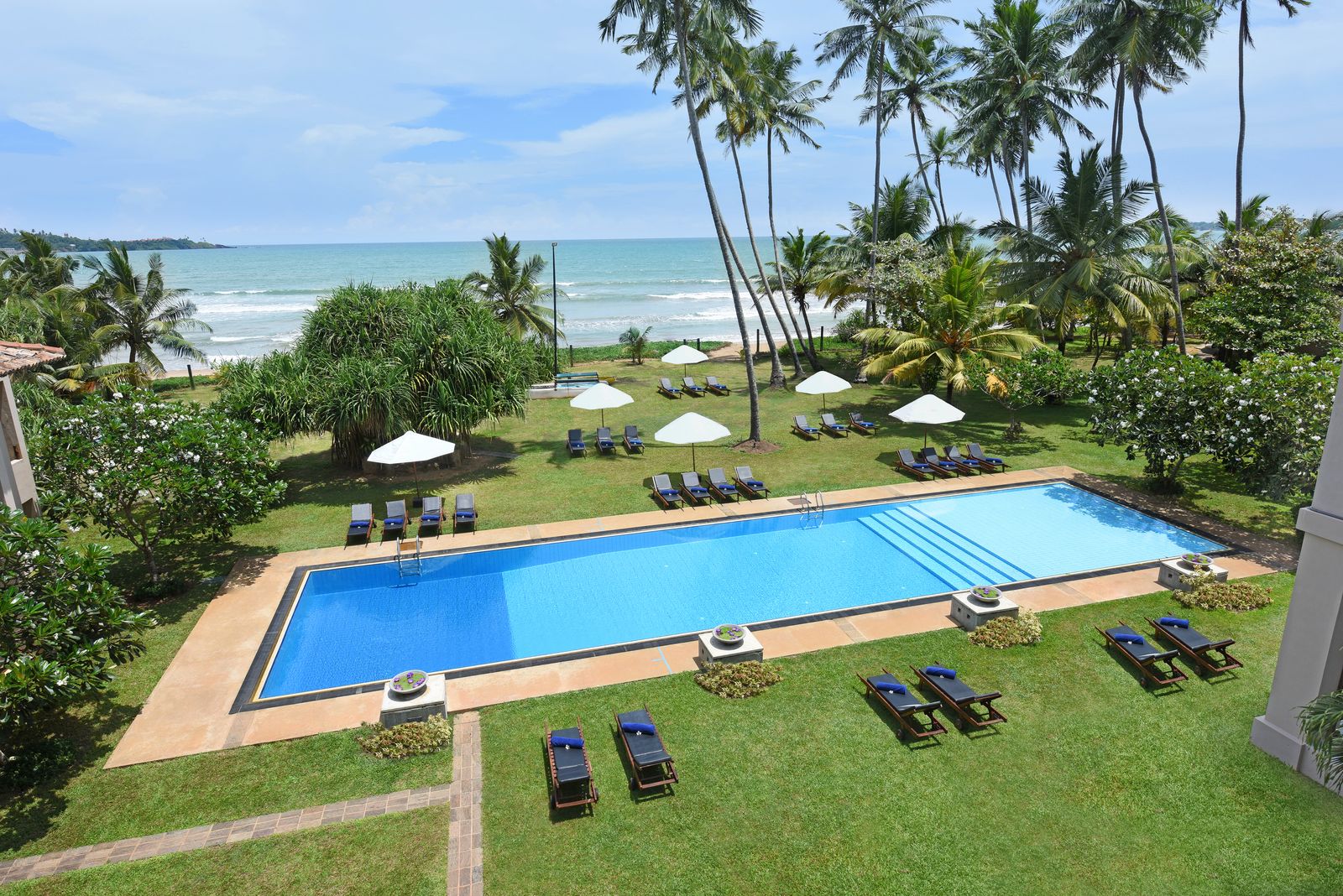 The main pool from above: a long rectangle on a lawn with sun loungers and white umbrellas, and palms and the sea beyond